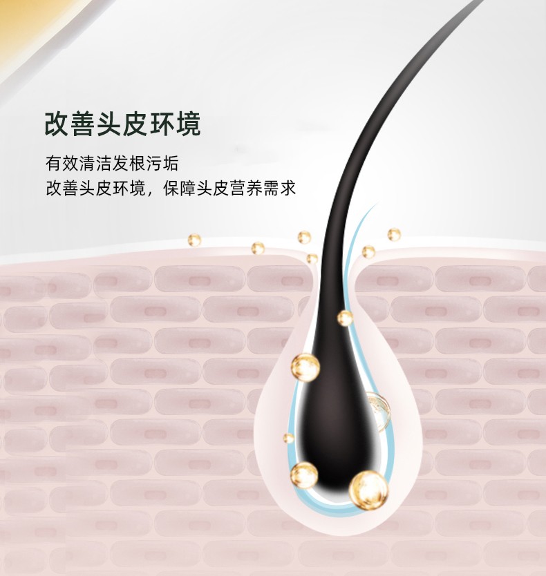 改善頭皮環境   有效清潔發根污垢   改善頭皮環境，保障頭皮營養需求